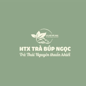 Hợp tác xã Trà Búp Ngọc