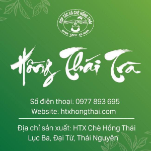 HỢP TÁC XÃ  Chè Hồng Thái
