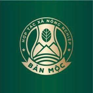 HỢP TÁC XÃ  NN Bản Mộc